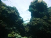 coral 1.jpg